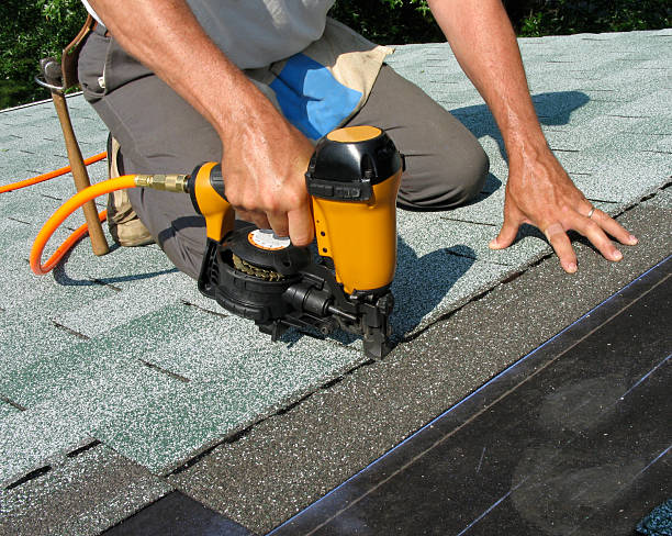 Best Storm Damage Roof Repair  in Sauk Centre, MN