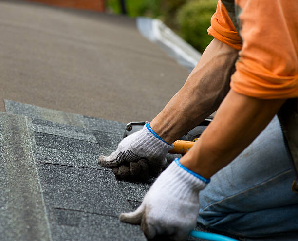 Best Slate Roofing Contractor  in Sauk Centre, MN